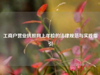 工商户营业执照网上年检的法律规范与实践指引