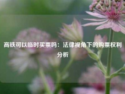 高铁可以临时买票吗：法律视角下的购票权利分析