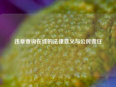 违章查询在线的法律意义与公民责任