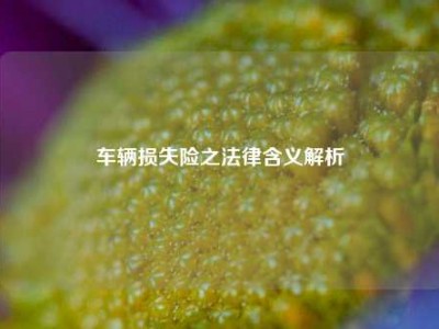 车辆损失险之法律含义解析