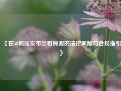 《在58同城发布出租房源的法律风险与合规指引》
