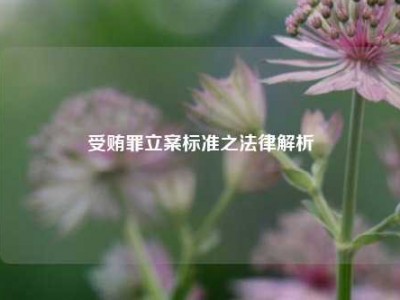 受贿罪立案标准之法律解析