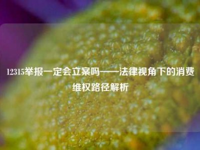 12315举报一定会立案吗——法律视角下的消费维权路径解析