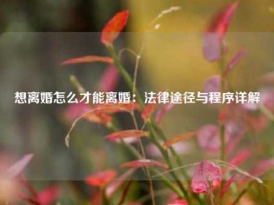 想离婚怎么才能离婚：法律途径与程序详解