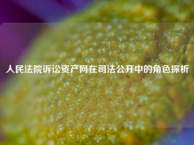 人民法院诉讼资产网在司法公开中的角色探析