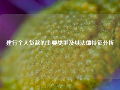 建行个人贷款的主要类型及其法律特征分析