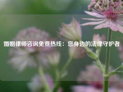 婚姻律师咨询免费热线：您身边的法律守护者