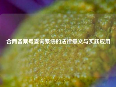 合同备案号查询系统的法律意义与实践应用