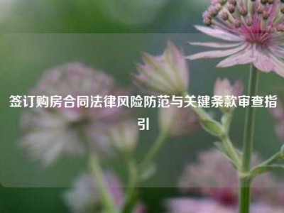 签订购房合同法律风险防范与关键条款审查指引