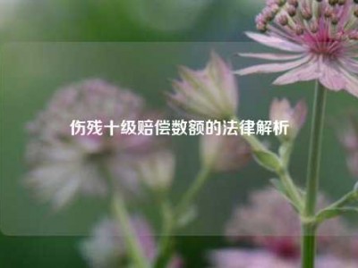 伤残十级赔偿数额的法律解析