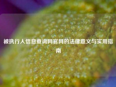 被执行人信息查询网官网的法律意义与实用指南