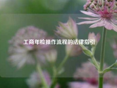 工商年检操作流程的法律指引