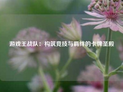 游戏王战队：构筑竞技与羁绊的卡牌圣殿