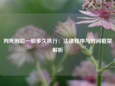 判死刑后一般多久执行：法律程序与时间框架解析