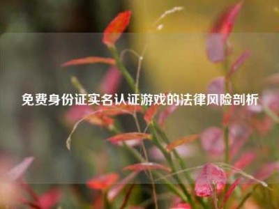 免费身份证实名认证游戏的法律风险剖析