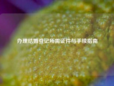 办理结婚登记所需证件与手续指南
