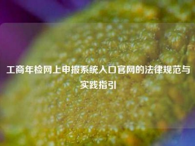 工商年检网上申报系统入口官网的法律规范与实践指引