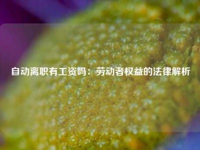 自动离职有工资吗：劳动者权益的法律解析