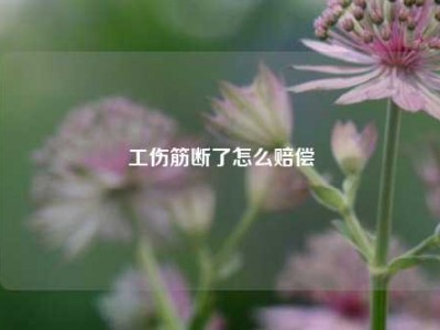 工伤筋断了怎么赔偿