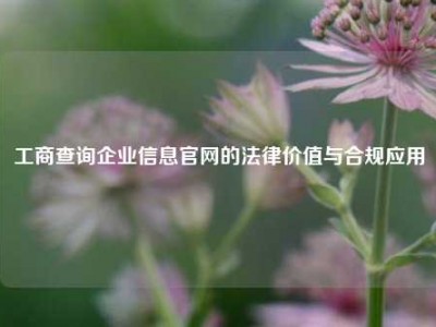 工商查询企业信息官网的法律价值与合规应用