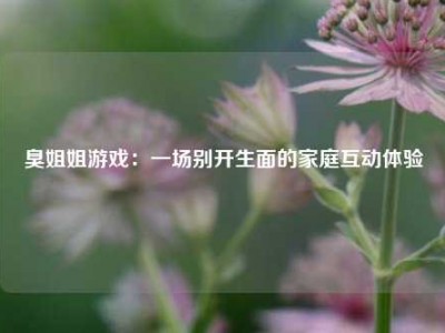 臭姐姐游戏：一场别开生面的家庭互动体验