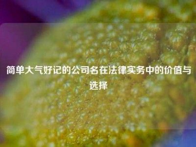 简单大气好记的公司名在法律实务中的价值与选择