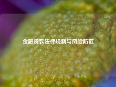 金融贷款法律规制与风险防范