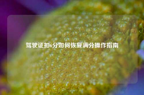 驾驶证扣6分如何恢复满分操作指南