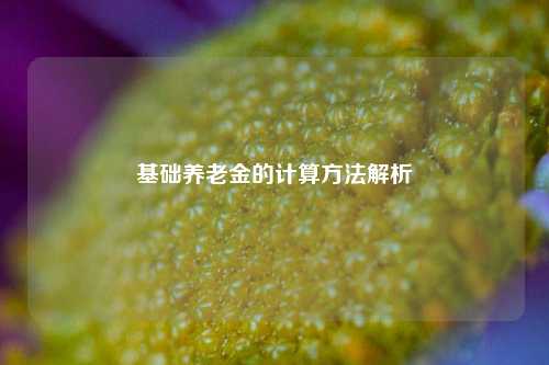 基础养老金的计算方法解析