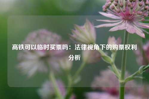 高铁可以临时买票吗：法律视角下的购票权利分析