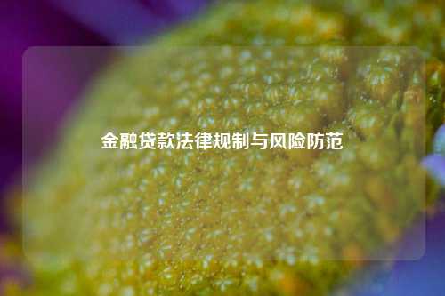 金融贷款法律规制与风险防范