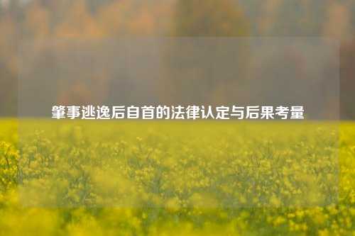 肇事逃逸后自首的法律认定与后果考量