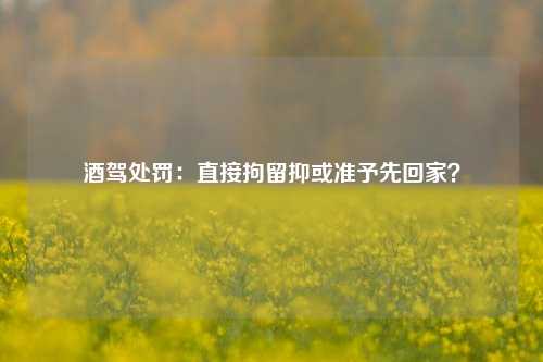 酒驾处罚：直接拘留抑或准予先回家？