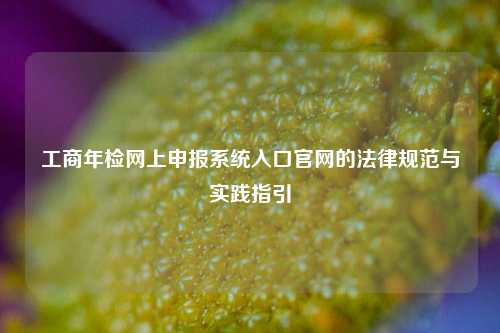 工商年检网上申报系统入口官网的法律规范与实践指引