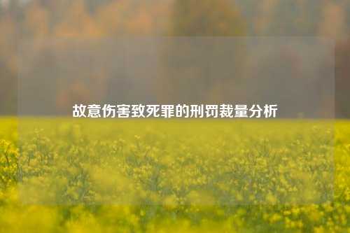 故意伤害致死罪的刑罚裁量分析