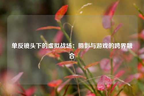 单反镜头下的虚拟战场：摄影与游戏的跨界融合