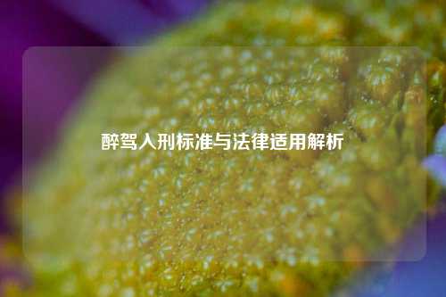 醉驾入刑标准与法律适用解析